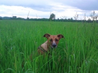 IMG_20120504_191929