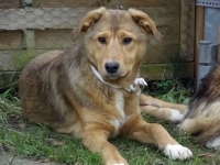 maja5