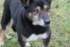 Lila_THH_13Jahre_2019-2