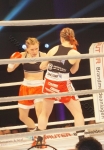 Boxen 2016 56