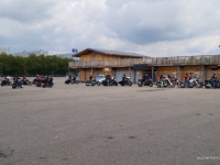 animal run 2017 (11)