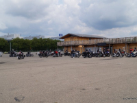 animal run 2017 (12)