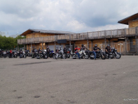 animal run 2017 (13)