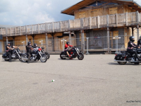 animal run 2017 (15)