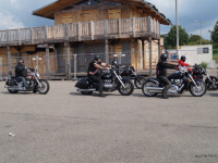 animal run 2017 (16)