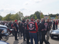 animal run 2017 (2)_LI