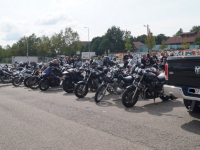 animal run 2017 (3)_LI