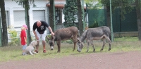 IMG_9374 b