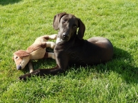 Blacky1