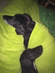 Blacky3