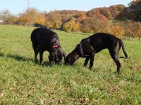 Blacky9
