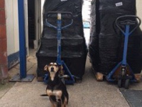 bubbles beim Boxen richten