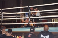 boxen 31