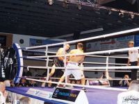 boxen (17)