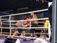 boxen (37)