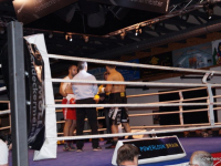 boxen (4)