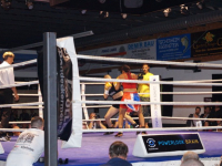 boxen (55)