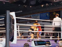 boxen (56)