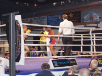 boxen (57)