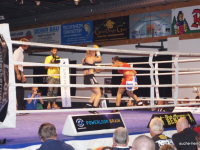 boxen (58)
