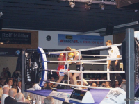boxen (59)