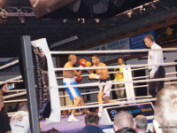 boxen (63)