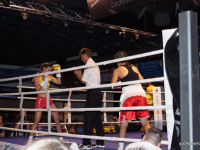 boxen (8)