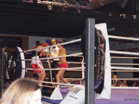 boxen (9)