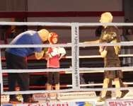 Boxen 25