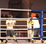 Boxen 26