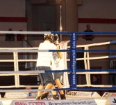 Boxen 27