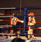 Boxen 30
