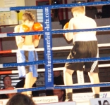 Boxen 40