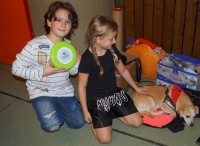 Boxen 57