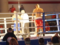 Boxen 60