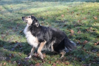 Bubbles_2019_FAR_Lerner-5