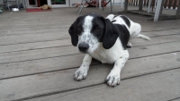 CHARLIE 006