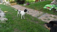 CHARLIE 024