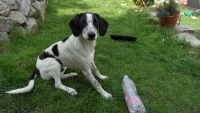 CHARLIE 026