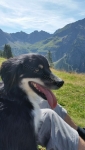 Jasper 1