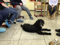 Frieda (2)