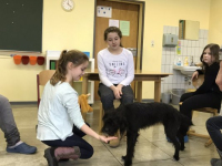 Frieda (4)