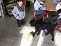 Frieda (5)