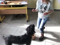 Frieda (6)
