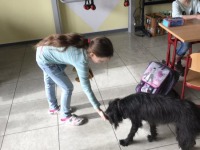 Frieda (7)