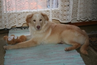 Filou (2)