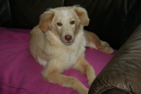 Filou (3)
