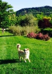 Foto 11