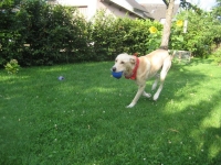 fang mich doch!!