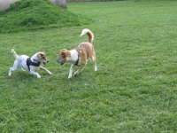Spielstunde 14.05 (164)